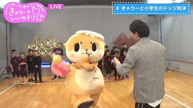 ちぃたん☆頭の”カメちゃん”ズリ落ちまくり、10回の落下にきゃりーが助言「縫ったほうがいいよ」 11枚目