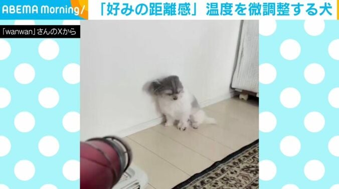 「もじゅ」くん