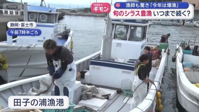 田子の浦漁港