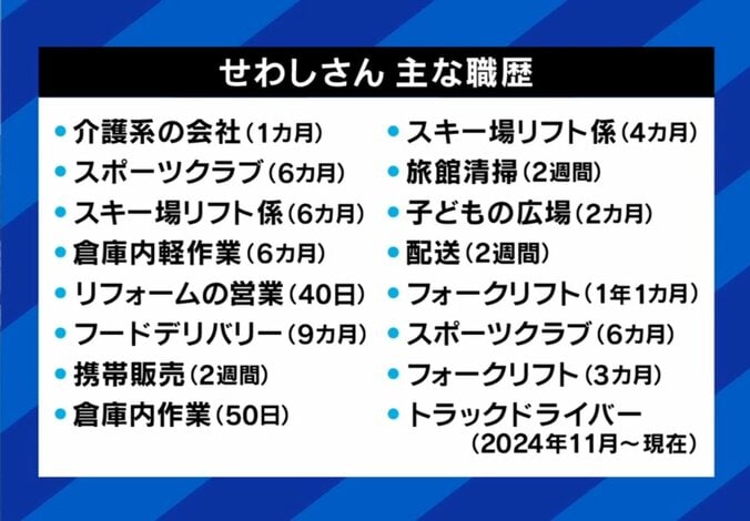 せわしさんの主な職歴