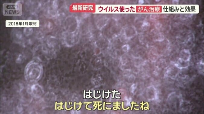 がん細胞ははじけるように破壊される