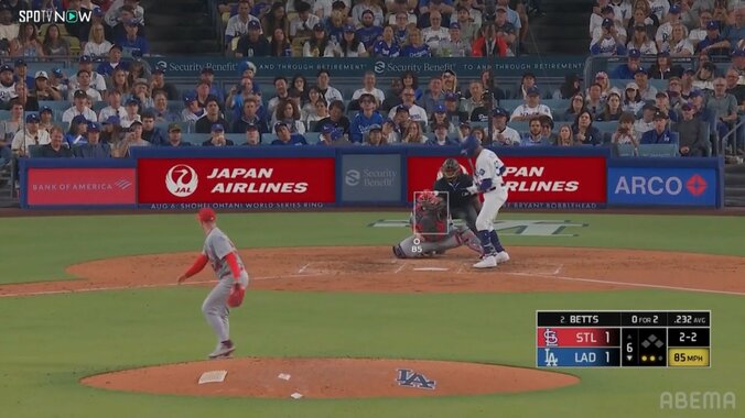 【写真・画像】　2枚目