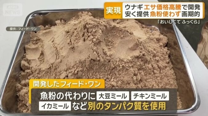 魚粉を使わない餌