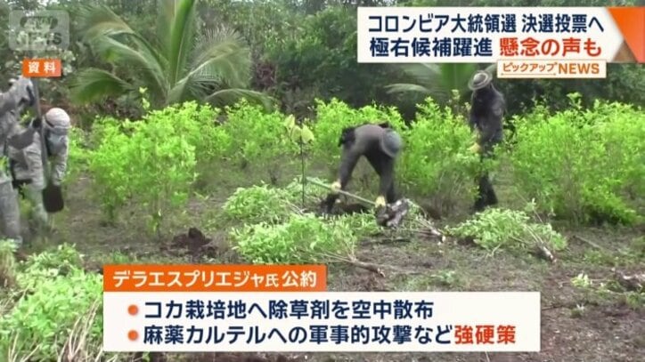 公約