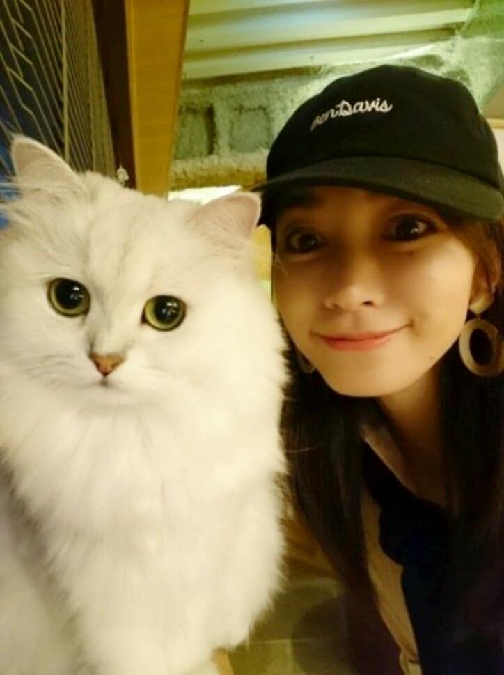 細川直美、娘が猫カフェで夏休みの宿題「落ち着いた空間で猫ちゃんものんびり」