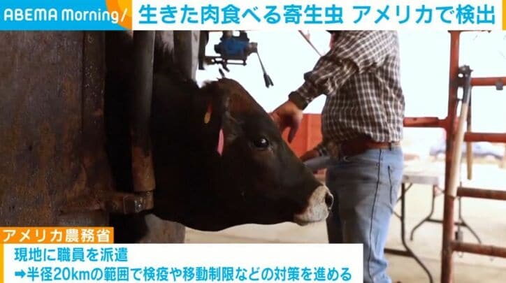 アメリカ農務省