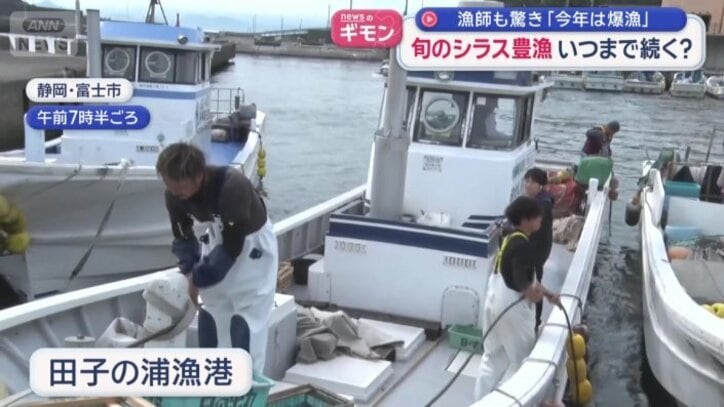 田子の浦漁港