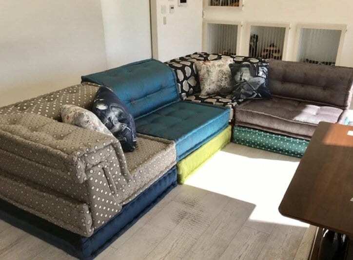 坂上忍、“ひと目惚れ”でソファを購入「大枚をはたいてもうた」