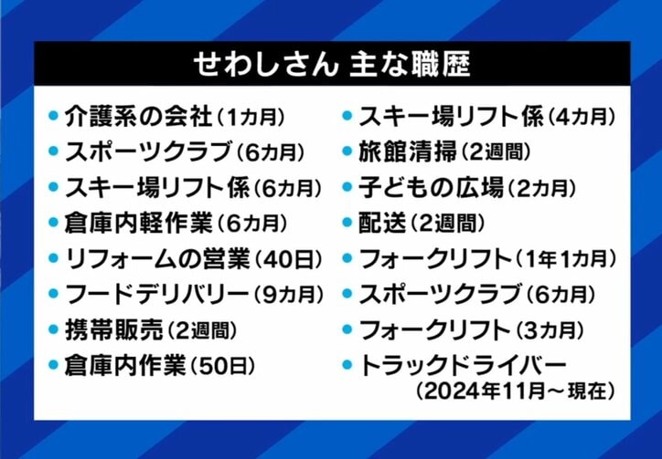 せわしさんの主な職歴
