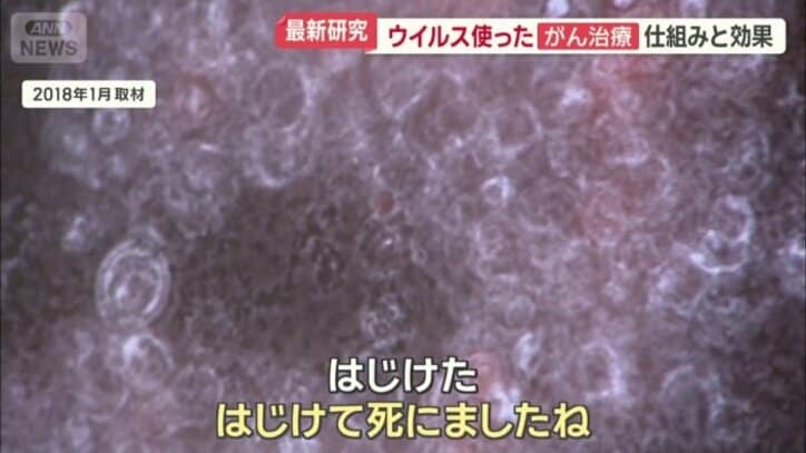 がん細胞ははじけるように破壊される