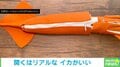 教材にできそう!! 超精細なイカの“解剖ぬいぐるみ”に「再現度がすごい」「理科の夏休みの宿題を思い出した」と話題