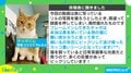 「話は聞かせてもらったニャ」“絶妙なタイミング”で現れる猫の動画に大反響「カッコいい」「映画出れそう」