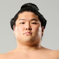 朝紅龍