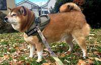 尾形あい『電気代』