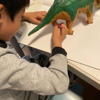 桜井奈々『幼稚園の先生から指摘されたこと』