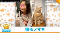 【映像】前足で“うさぎの耳”をつくる猫