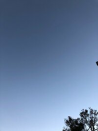 堀ちえみ『おはようございます』