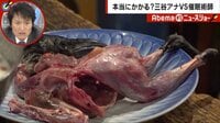 Abema的ニュースショー - 名場面 - 三谷アナVS催眠術師 害獣カラス料理に挑戦!(18/11/18) | 動画視聴は【Abemaビデオ(AbemaTV)】