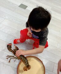 アレクサンダー『やっぱり食うんかい‼️』