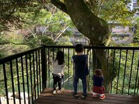 東尾理子『おちあいろう→いちご狩り→箱根神社→家』