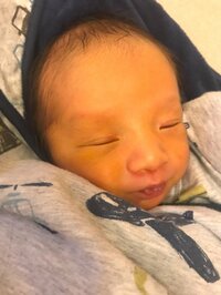 杉浦太陽『帰って癒し…^_^』