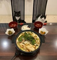 藤あや子『昨日の晩ごはん』