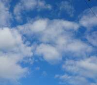 秋野暢子『リンパ転移の不思議。』