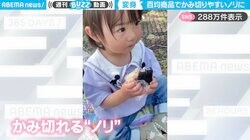 すごい発明品！幼い女の子でもおにぎりを“すんなり”食べることができる、ダイソーのアイデア商品が大反響！「全世界のおにぎりの新スタンダードに！」「お子さん可愛すぎて…頭に入ってこない…天使」