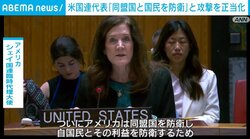 米国連代表「同盟国と国民を防衛」とイラン攻撃を正当化