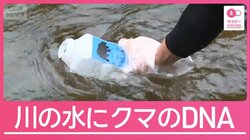 “山レジャー”本格化 課題はクマとの遭遇回避 注目の最新研究とは？