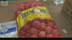 国産タマネギ小玉化…価格も高騰　ひと回り大きい格安米国産の輸入は46倍に