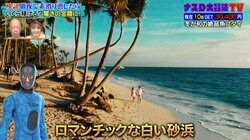 キレイな白い砂浜の衝撃的な正体とは…「えっ、嘘？」耳を疑いたくなる真実に「砂浜のイメージがw」驚きの声