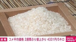 コメ平均価格 2週間ぶり値上がり 4331円/5キロ