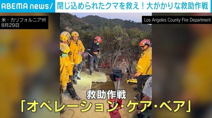 クマ親子の救助活動