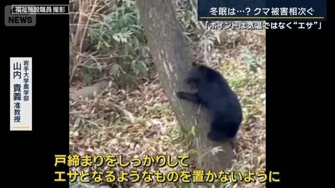 岩手大学農学部　山内貴義准教授