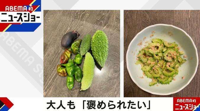 舛添氏が育てた野菜とサラダ