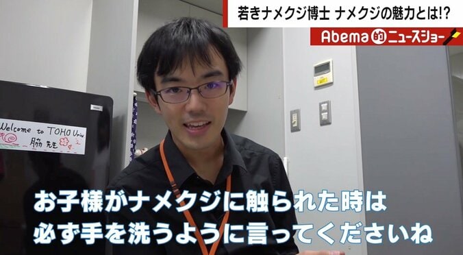 420日間の昏睡の末に死亡例も…　夏休み前に知っておくべき「ハワイ」の“意外”な危険　 3枚目