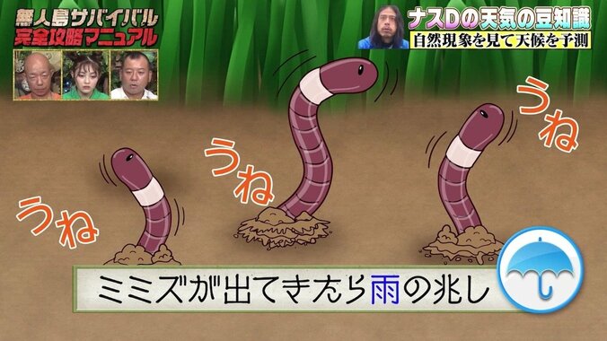 ナスDが明かす天気の豆知識「サバイバルをする上で天気を事前に知る事はとても重要」【写真・イラスト付き】 17枚目