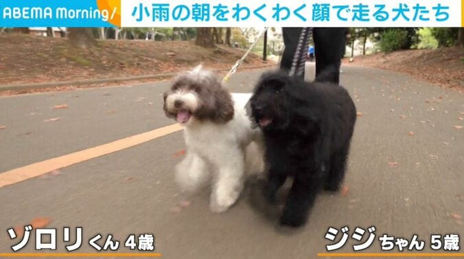 ゾロリくんとジジちゃん