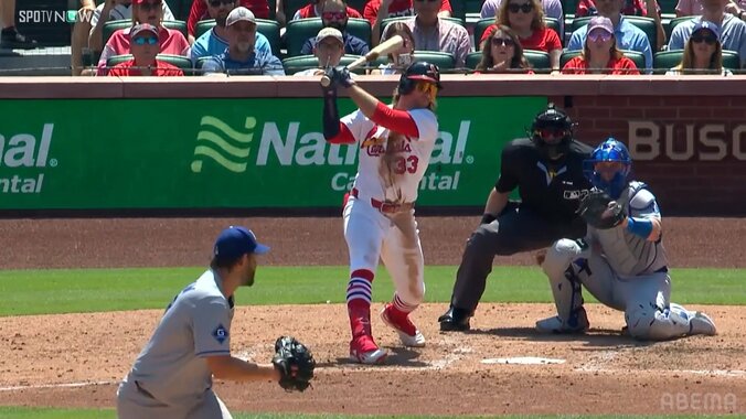 【写真・画像】　2枚目