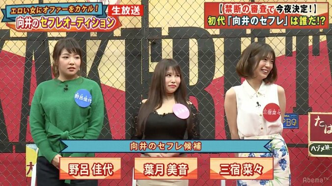 野呂佳代、パンサー向井のセフレに選ばれる「緩急つけて頑張ります」 3枚目