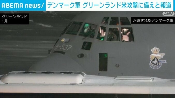 派遣されたデンマーク軍