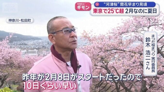 まつだ桜まつり　実行委員長　鈴木浩二さん