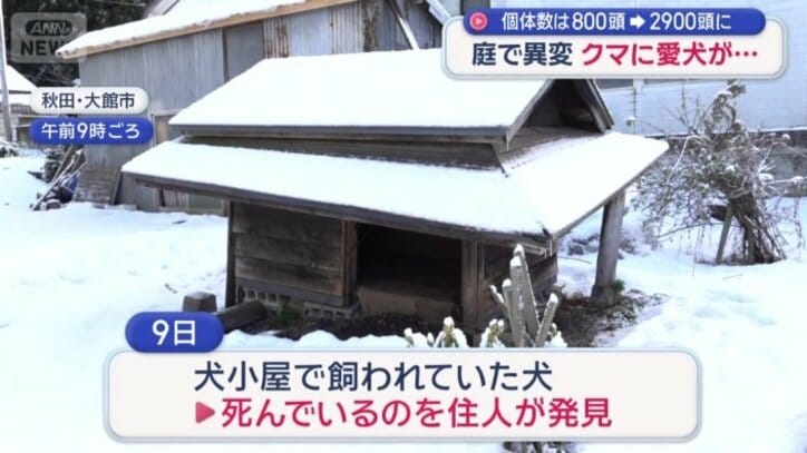 犬を襲ったのはクマの可能性が高い