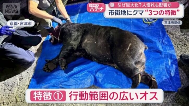 特徴（1）