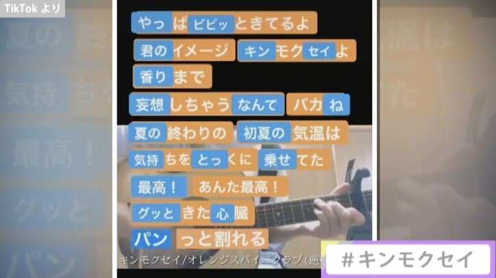 TikTokで『香水』の大ブーム、Twitterで異彩放つ長州力、誹謗中傷による事件… 新時代到来、SNSの2020年を振り返る