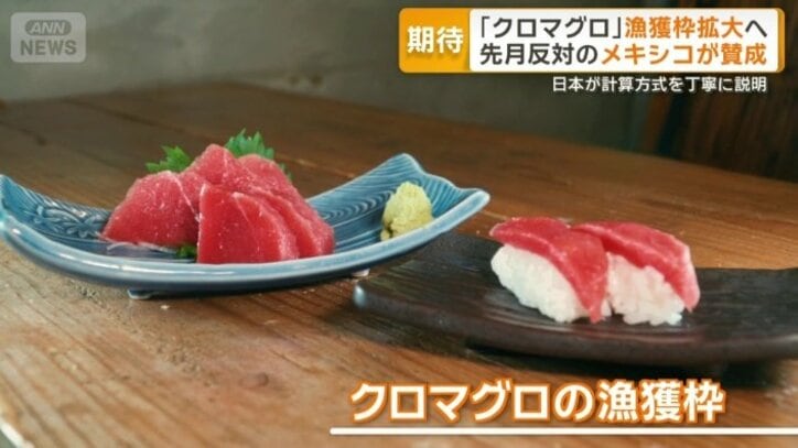 クロマグロ
