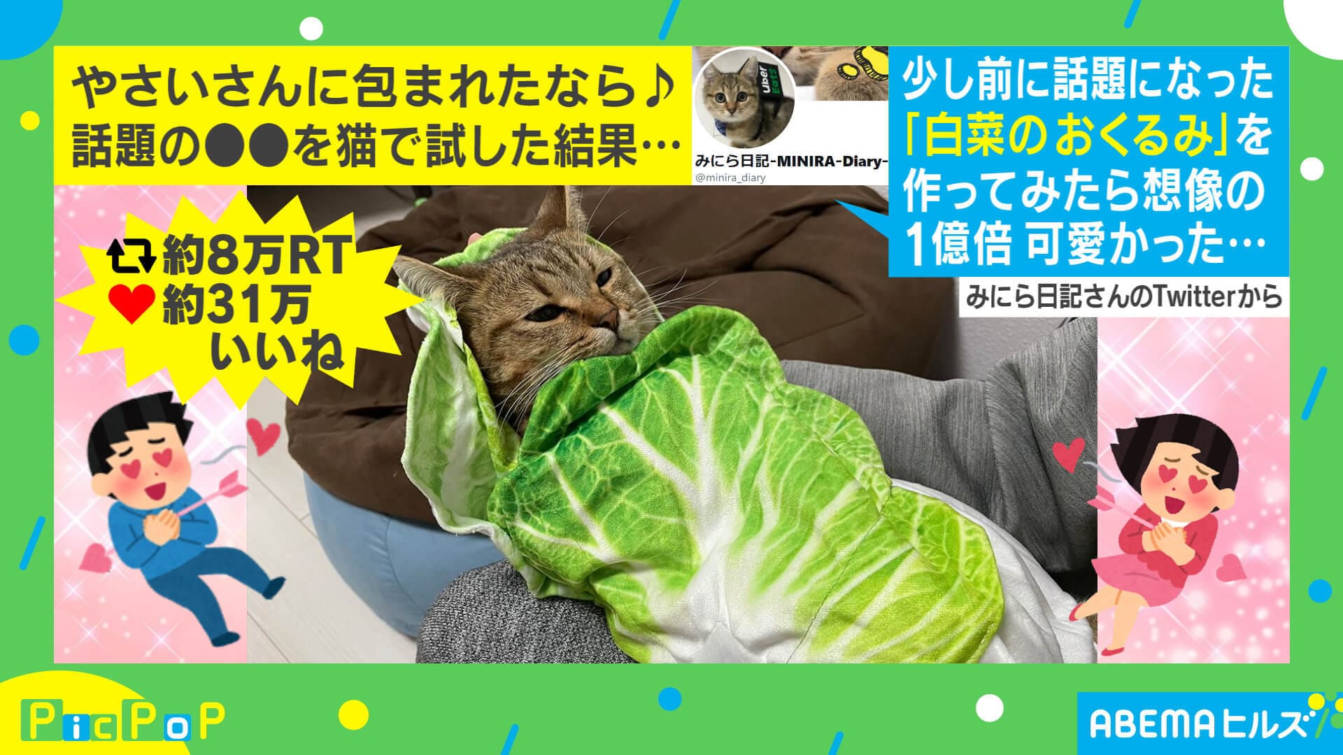白菜 に包まれた猫 想像の1億倍可愛いと話題に 人間の赤ちゃんみたい 国内 Abema Times