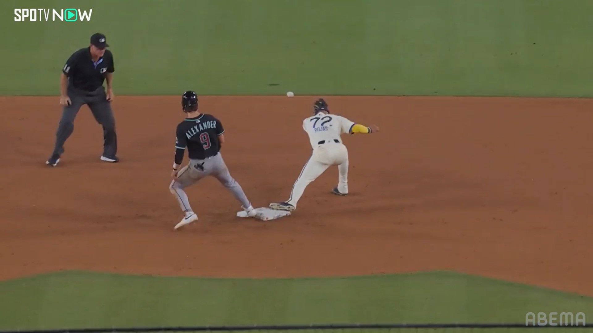 【写真・画像】　2枚目