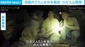“奇跡の生還”…豪雨で水没した洞窟に1週間→「みんな無事だ！」救助隊員が5人を発見する瞬間 ラオス